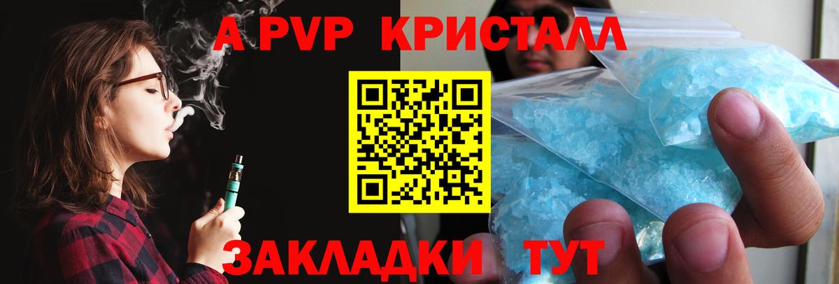 A PVP СК КРИС Шебекино