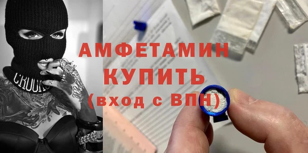 гидра Пересвет