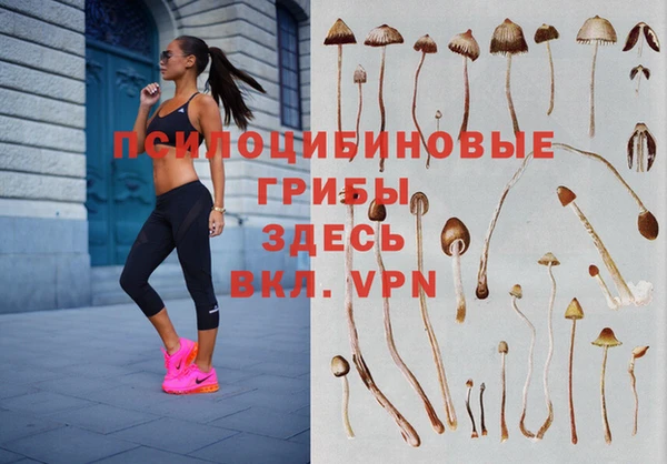 гидра Пересвет