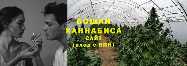 СК Аркадак