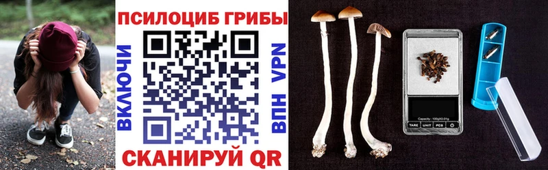 Галлюциногенные грибы ЛСД  Шебекино 